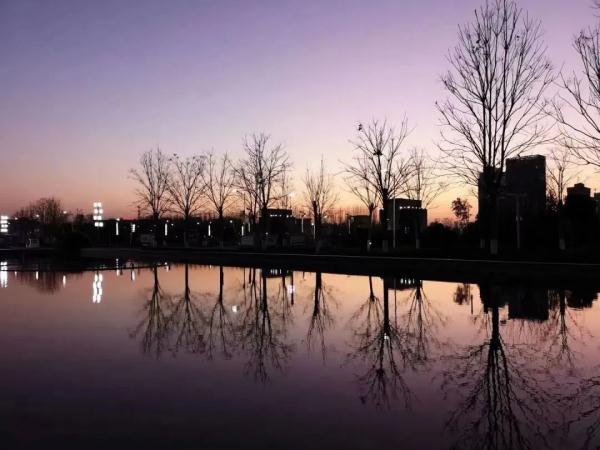 河南這所高校的秋:又美又颯 河南這所高校的秋:又美又颯