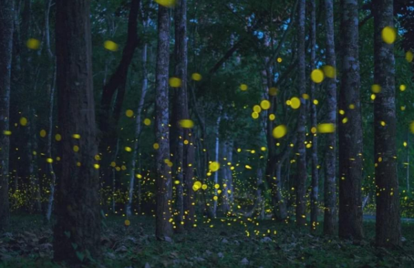 長相好看的女人，都有這些特點
