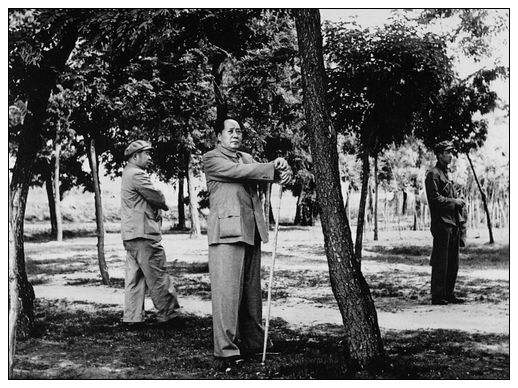 調研之王：毛澤東