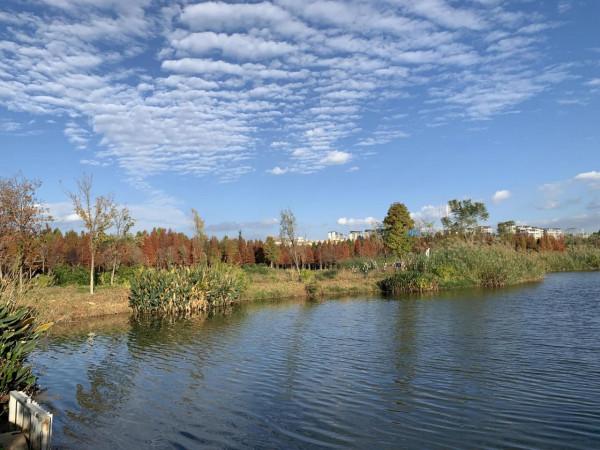 欣賞藍天白雲下的景色 欣賞藍天白雲下的景色