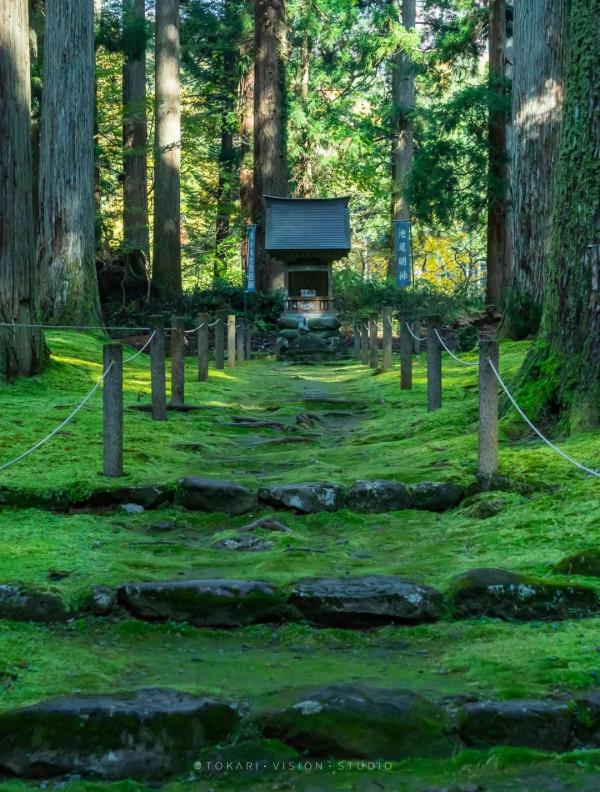 逛逛日本 &vert; 一券在手 遊走日本升龍道夢之旅