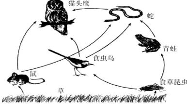 集體智慧到底是什麼