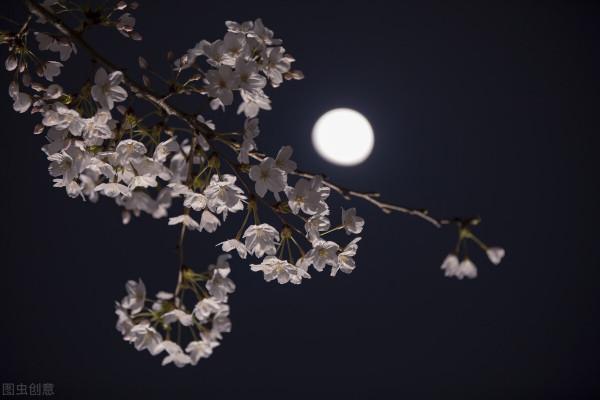 西江月 中秋 舉杯賞月百花前