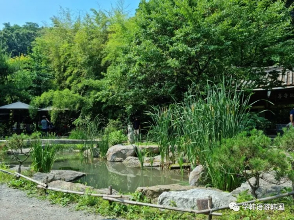 「遊」韓國傳統茶屋,不僅僅是品茶那麼簡單,更多的是一種氛圍感 「遊」韓國傳統茶屋,不僅僅是品茶那麼簡單,更多的是一種氛圍感