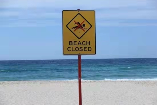 悉尼海灘鯊魚襲人致死，海水被染紅，多處海灘關閉