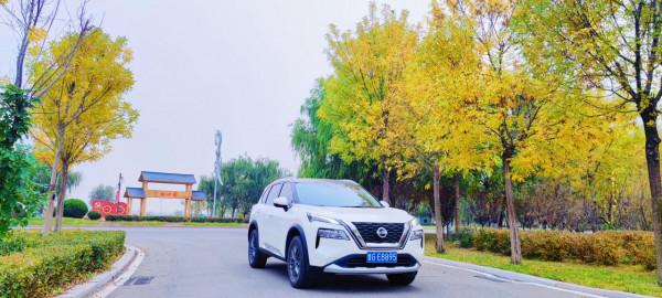 冬季悄悄走近，駕駛奇駿欣賞一下美景