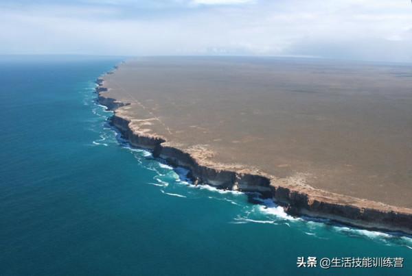 你見過躲雨的火烈鳥嗎？30張趣圖讓你大開眼界