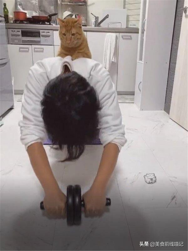 橘貓變成魔鬼教練，做運動的奴才：七公斤的負擔好重