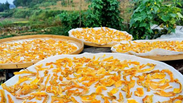 這6種曬乾更香的廉價蔬菜，冬天燉肉吃特別過癮，放一年也不會壞