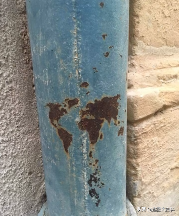 30個巧合圖片,奧特曼快來這裡有怪獸,鴨子居然和哈士奇結合了 30個巧合圖片,奧特曼快來這裡有怪獸,鴨子居然和哈士奇結合了