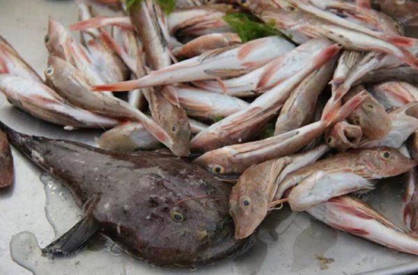 含“寄生蟲”最多的3種海鮮,沒營養還貴,老闆自己從不吃 含“寄生蟲”最多的3種海鮮,沒營養還貴,老闆自己從不吃