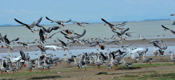 “中國百慕大”:鄱陽湖,曾經一天沉了13艘船,無數人在這裡喪命 “中國百慕大”:鄱陽湖,曾經一天沉了13艘船,無數人在這裡喪命