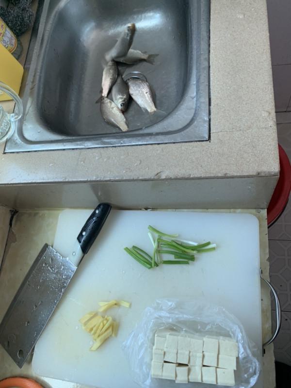 正確掌握野釣鯽魚的技巧，助你爆護