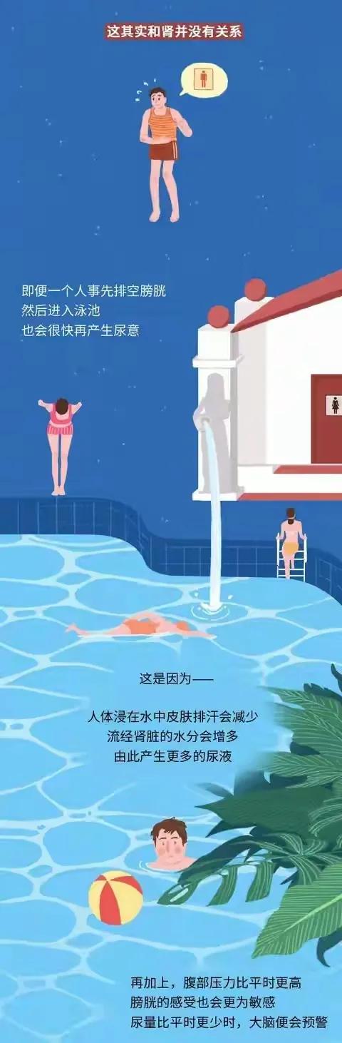 游泳池裡的尿液比你想象的多!(漫畫) 游泳池裡的尿液比你想象的多!(漫畫)