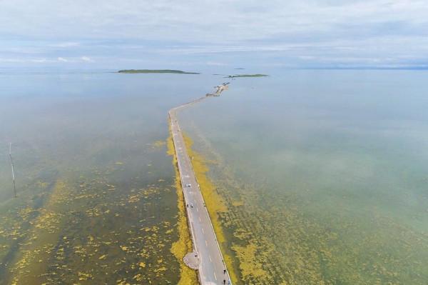 標緻4008環青海長測Day9：鳥島叫“蚊子島”，沿青海沿線達剛察！
