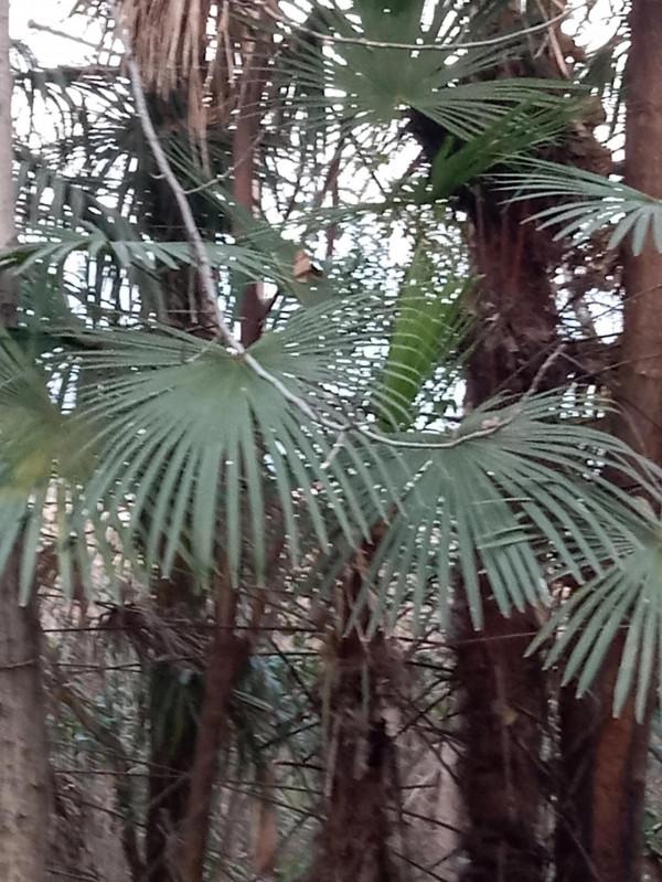 這個冬天不太冷