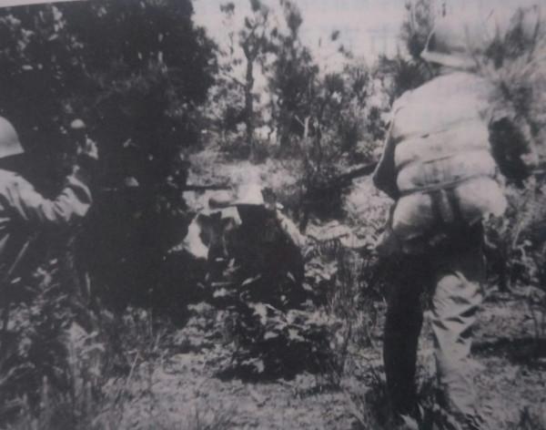 美軍精心訓練的“黑狼”、“黑虎”別動隊，為何敗在浙江民兵手下