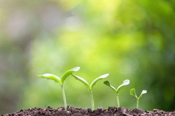 生三胎有助於減輕養娃的焦慮你信嗎? 生三胎有助於減輕養娃的焦慮你信嗎?