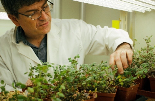 植物自身也能生成化肥?中科院團隊《科學》論文揭示重要突破 植物自身也能生成化肥?中科院團隊《科學》論文揭示重要突破