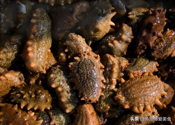 男人到中年,牢記“多吃7樣,少吃3樣”,飲食健康身體棒 男人到中年,牢記“多吃7樣,少吃3樣”,飲食健康身體棒