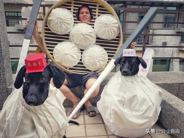 狗狗也要過萬聖節！寵物狗化身為《魷魚遊戲》中的木頭人鬼娃