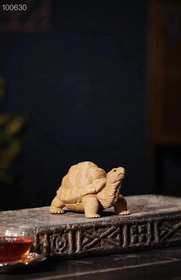 禪雲壽龜，逼真嗎？