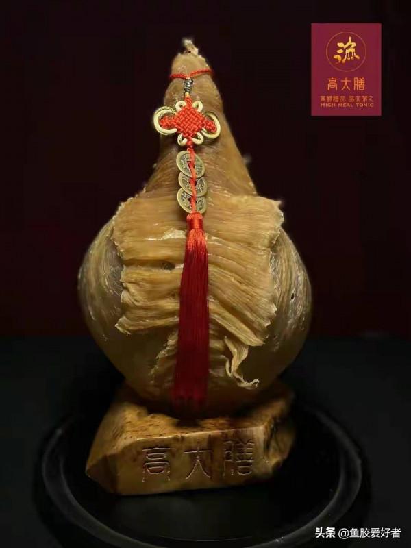 你可能吃錯魚膠了！看完這篇文章帶你瞭解吃魚膠都需要注意哪些？