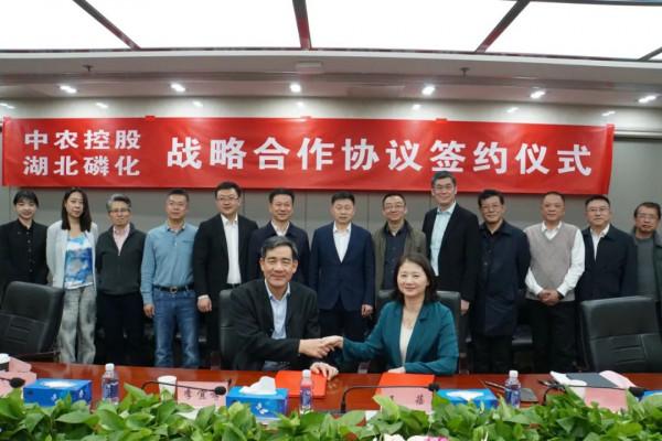 戰略合作!中農控股與湖北磷化集團簽訂協議 戰略合作!中農控股與湖北磷化集團簽訂協議
