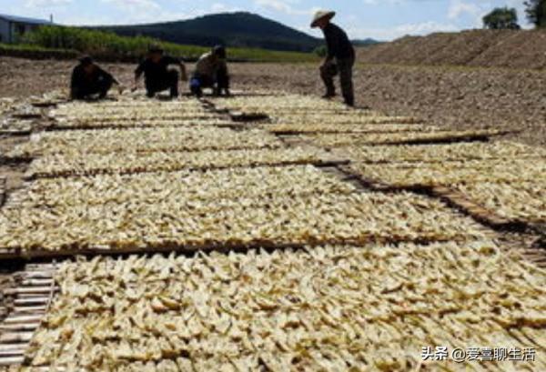 秋高氣爽，這5種食材不拿來曬乾可惜了，囤起來冬天燉肉吃太香了