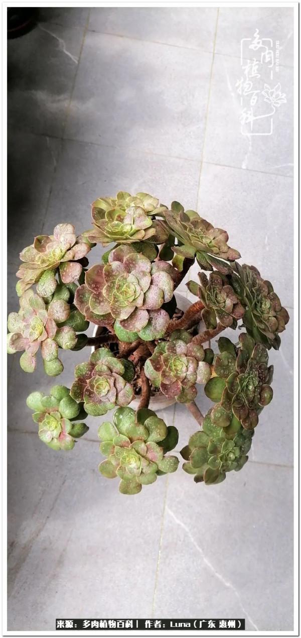 學會和解:與自己、與他人、與世界 學會和解:與自己、與他人、與世界