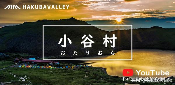 日本的鄉村振興借鑑:發揮日本農協的“平臺經濟”效應 日本的鄉村振興借鑑:發揮日本農協的“平臺經濟”效應