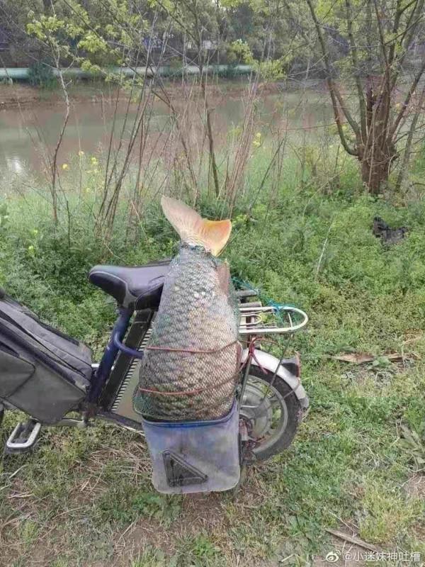 「雙11」開著電驢去釣魚,結果身心疲憊,聽我細細道來…… 「雙11」開著電驢去釣魚,結果身心疲憊,聽我細細道來……