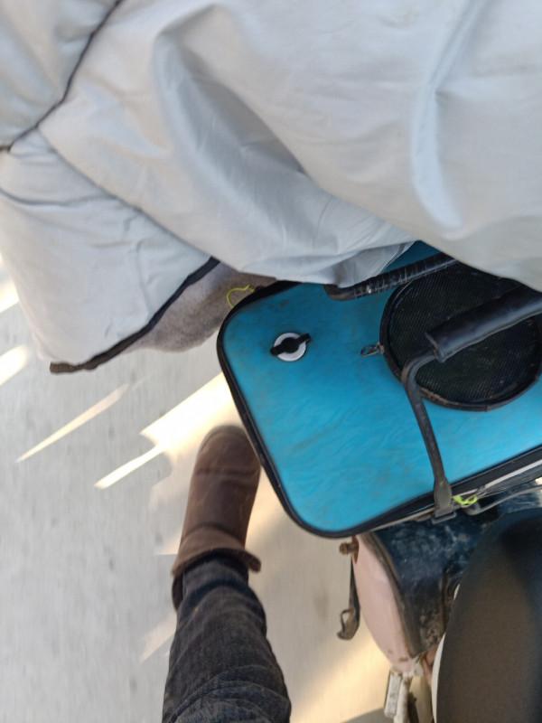 「雙11」開著電驢去釣魚,結果身心疲憊,聽我細細道來…… 「雙11」開著電驢去釣魚,結果身心疲憊,聽我細細道來……