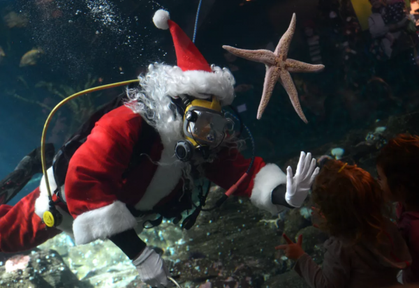 BC省秋冬季8個絕佳景點推薦 好玩到藏也藏不住