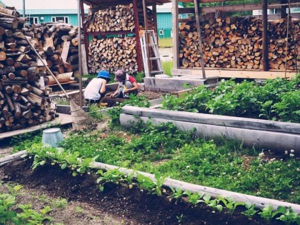 想把日子過成詩