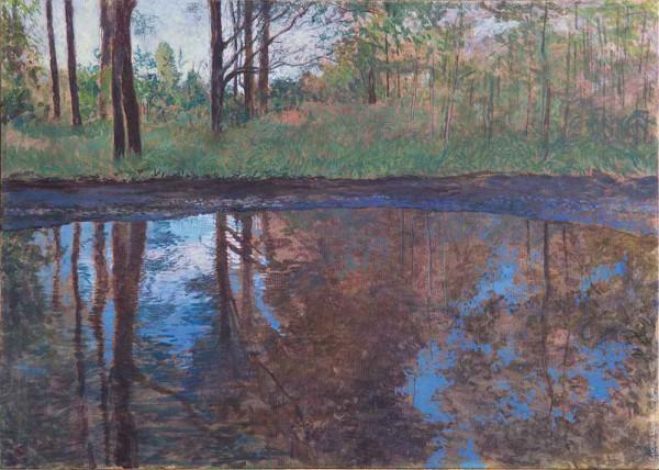 卡羅來納州蘭迪亞 Carolina Landea 畫廊 卡羅來納州蘭迪亞 Carolina Landea 畫廊