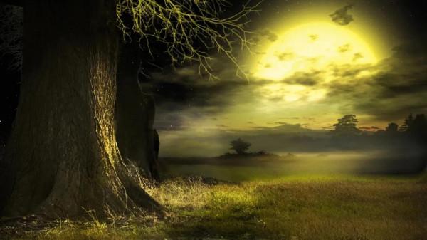 四十年了,想起那夜驚遇,我仍心有餘悸 四十年了,想起那夜驚遇,我仍心有餘悸