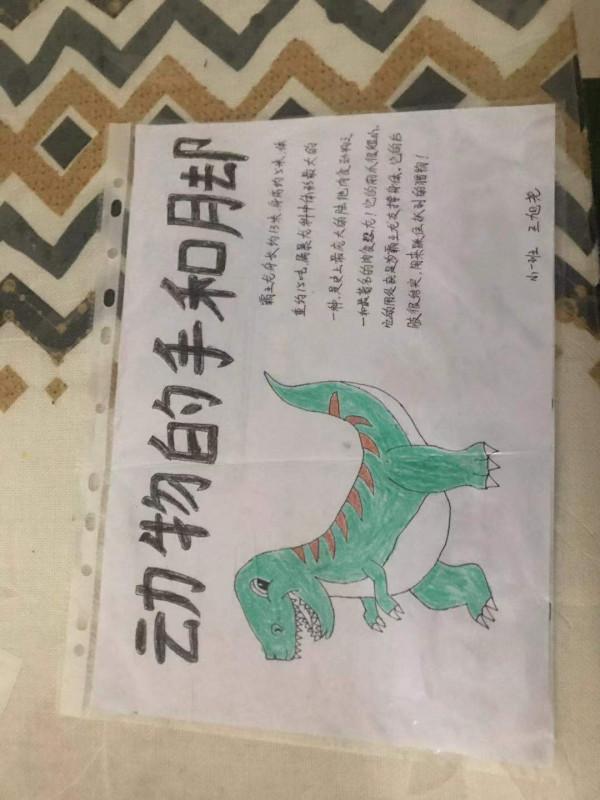 嘟嘟上個幼兒園，我都快成專職畫畫的了，幼兒園老師天天安排作業