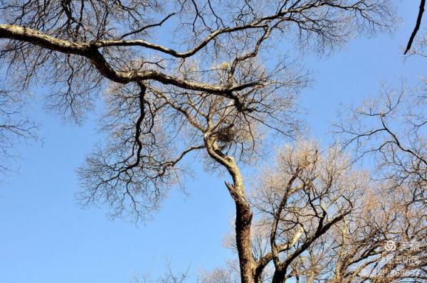 乘坐西峰索道上華山