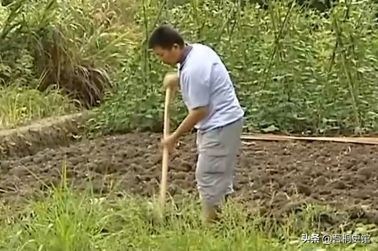 湖南養女高考金榜題名，卻與富豪爸爸相認，貧窮養父忍痛讓其抉擇