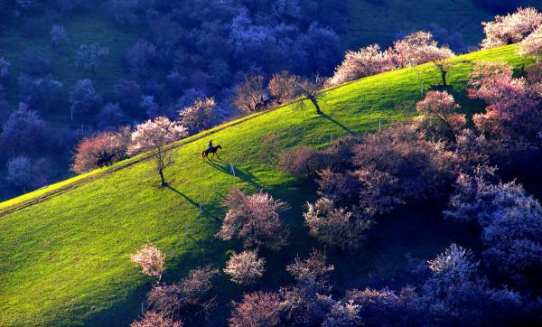 超出你想象的空中草原