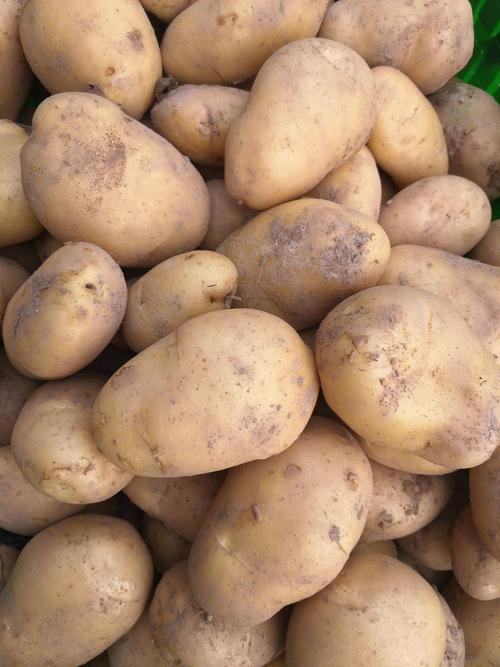 多吃麵條對“胰島”不好嗎？醫生：若想降血糖，儘量少吃3種食物