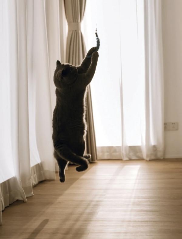 LDK一體化,憑什麼籠絡人心?寬敞明亮,提高每1㎡利用率,絕了 LDK一體化,憑什麼籠絡人心?寬敞明亮,提高每1㎡利用率,絕了