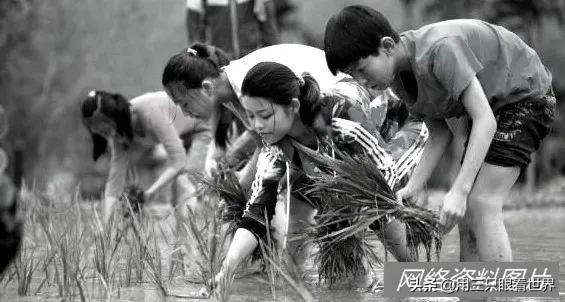 「知青往事」我在黎村學校當老師 「知青往事」我在黎村學校當老師