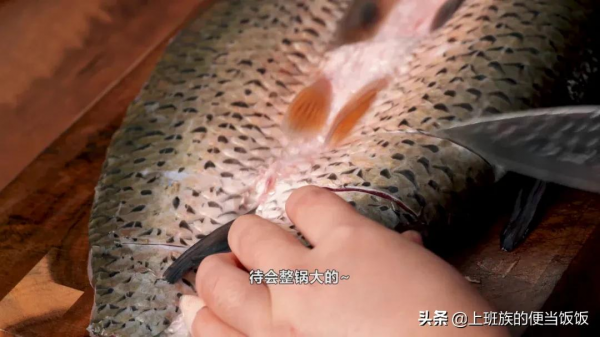 烤魚家庭版做法,魚香肉嫩,學會全家誇 烤魚家庭版做法,魚香肉嫩,學會全家誇