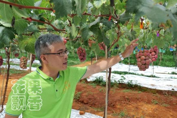 為什麼大家喜歡跳新品種的坑? 為什麼大家喜歡跳新品種的坑?