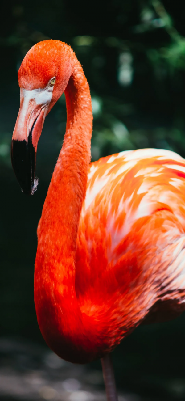 桌布：今天的桌布很好看