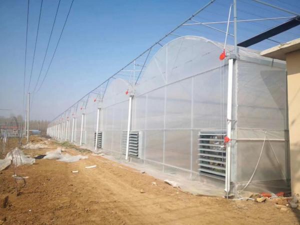 北方地區蔬菜大棚種植的樣式以及茬口安排 北方地區蔬菜大棚種植的樣式以及茬口安排