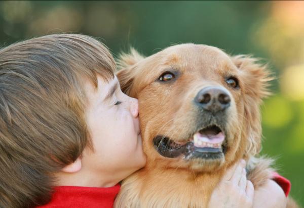 這幾種“老實”的狗，是孩子很好的陪伴
