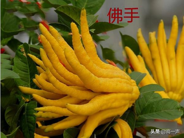 胃病反覆不愈，元兇在於不良情緒！（胃病科普系列③建議收藏）